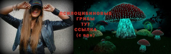 сатива Белоозёрский
