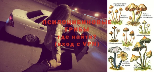 сатива Белоозёрский